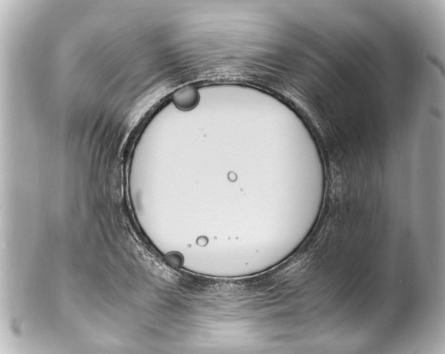 X0000101681075200807311514