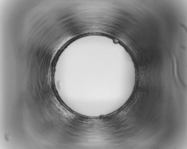 X0000101681076200807311514