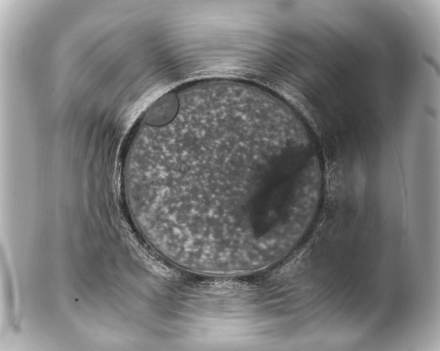 X0000101681077200807311514