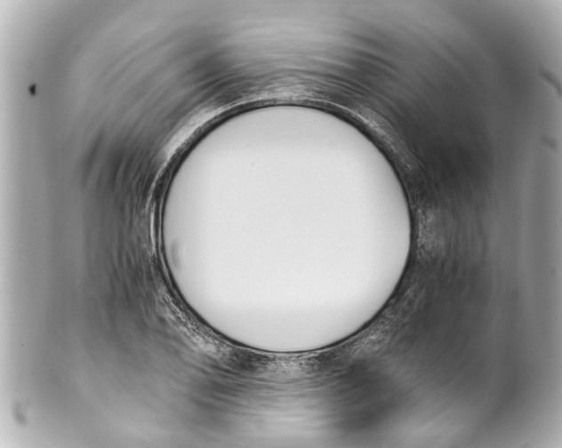 X0000101681078200807311514