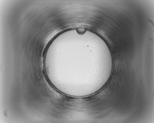 X0000101681079200807311514