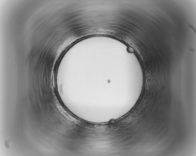 X0000101681080200807311514