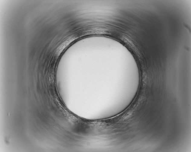 X0000101681081200807311514