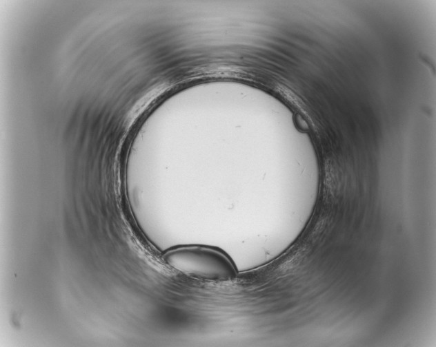 X0000101681082200807311514