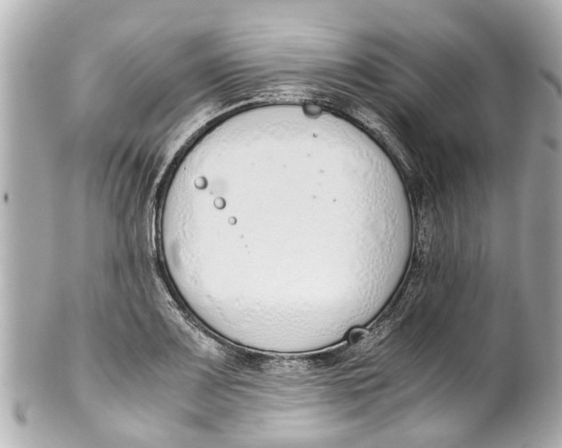 X0000101681083200807311514