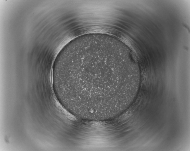 X0000101681084200807311514