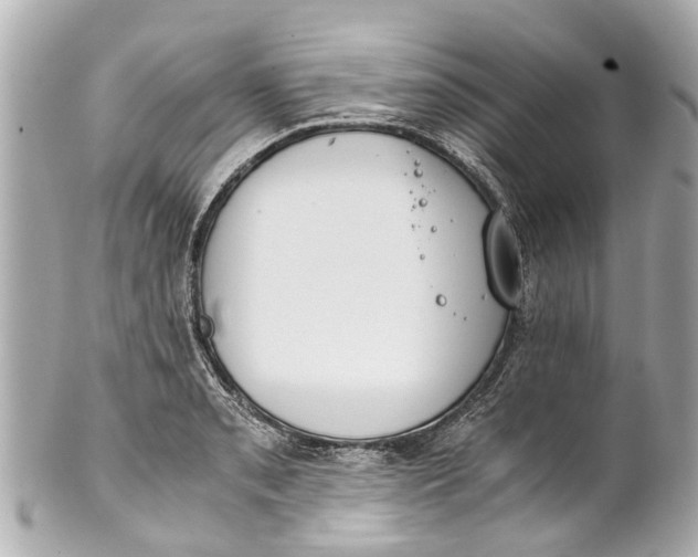 X0000101681085200807311514