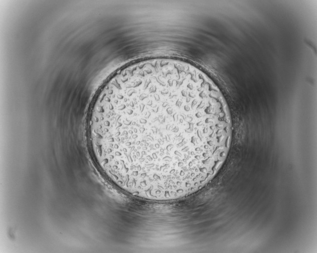 X0000101681086200807311514