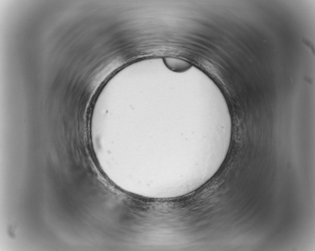 X0000101681087200807311514