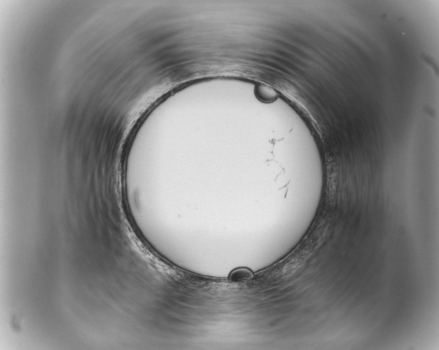 X0000101681088200807311514