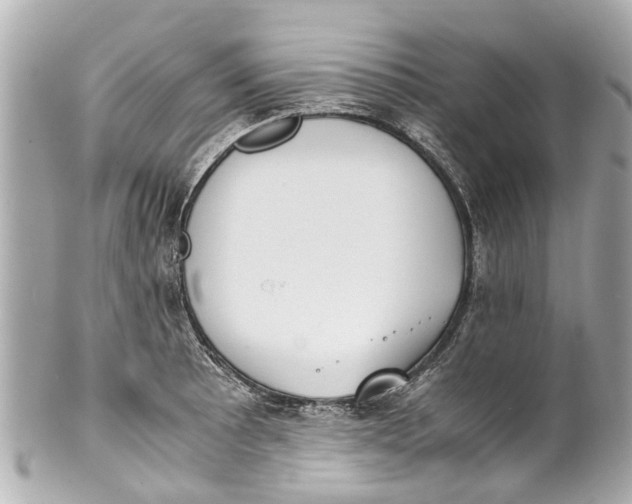 X0000101681089200807311514