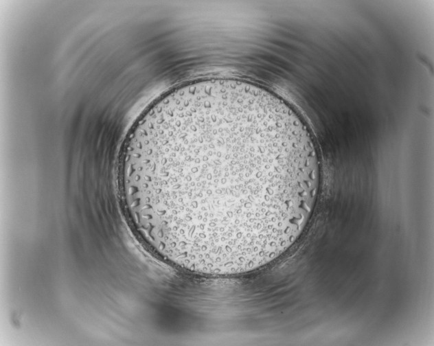 X0000101681090200807311514