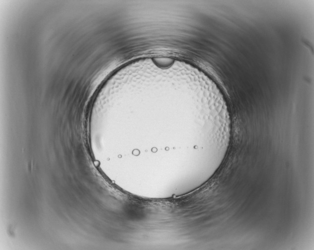 X0000101681091200807311514