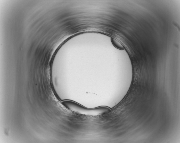 X0000101681092200807311514