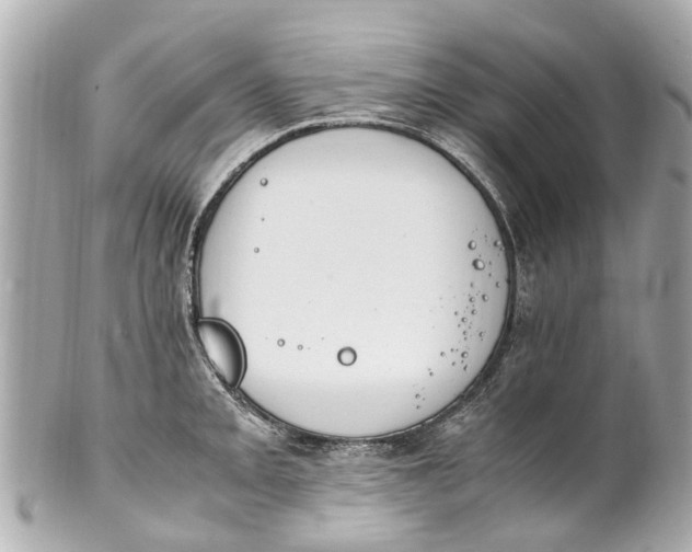 X0000101681093200807311514