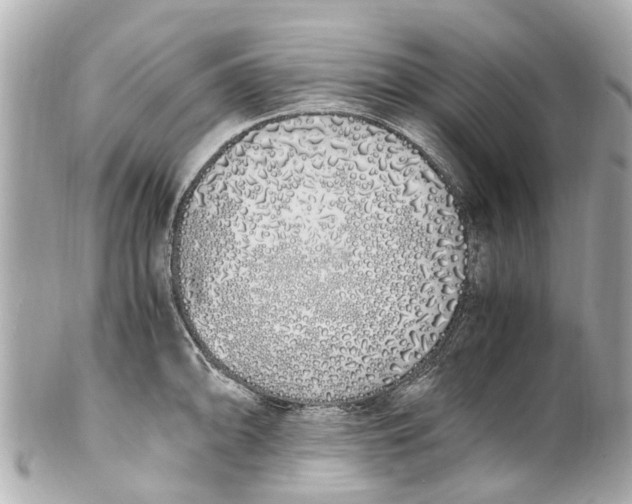 X0000101681094200807311513