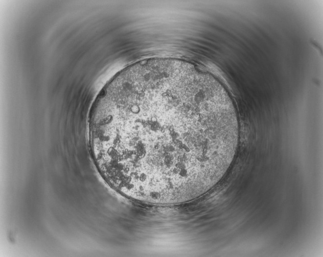 X0000101681095200807311513