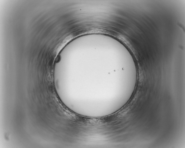 X0000101681097200807311513