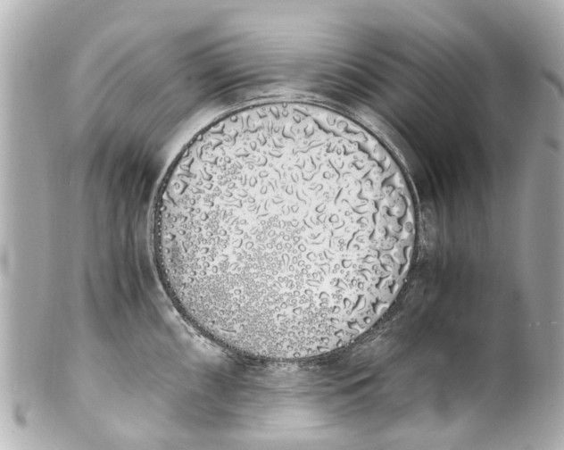 X0000101681098200807311513