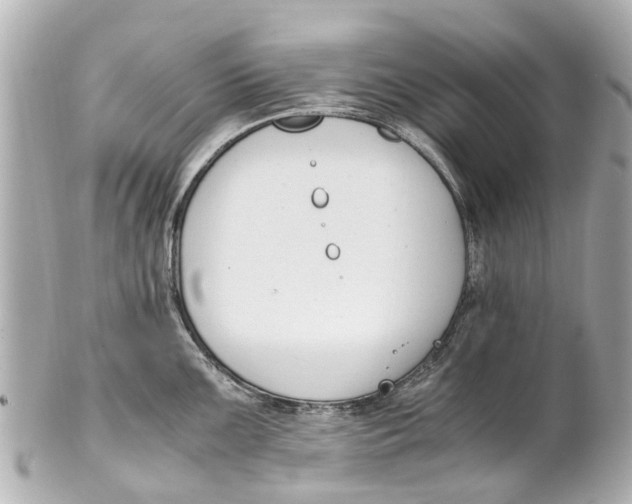 X0000101681099200807311513