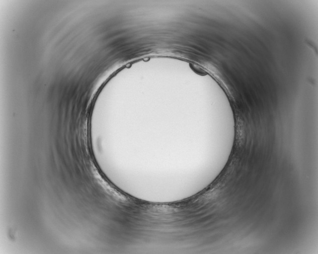 X0000101681100200807311513