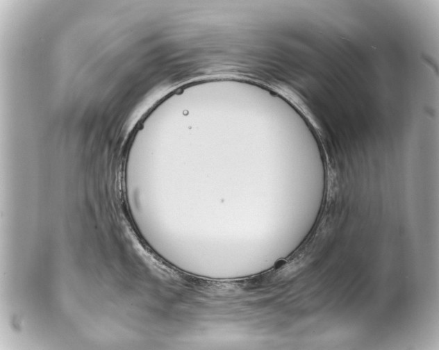 X0000101681101200807311513