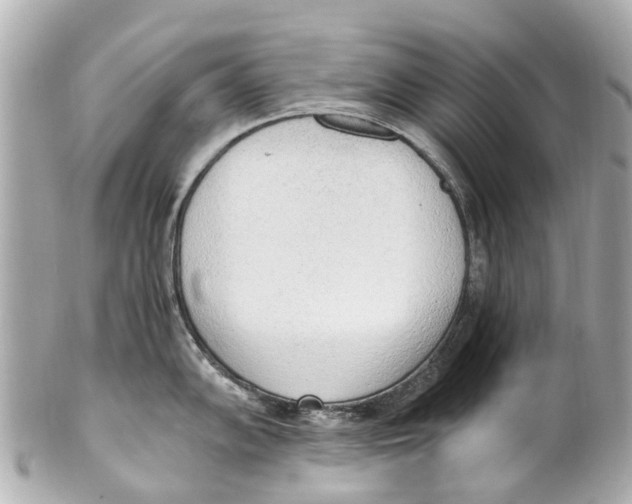 X0000101681102200807311513