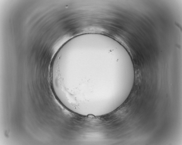 X0000101681103200807311513