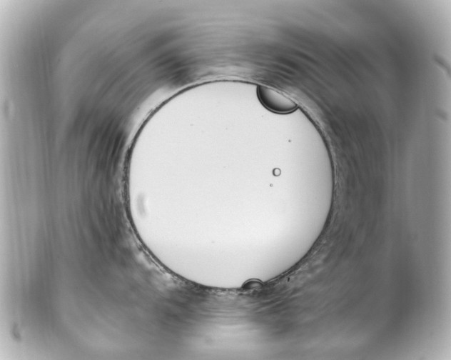 X0000101681104200807311513