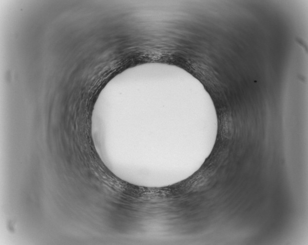 X0000101681105200807311513