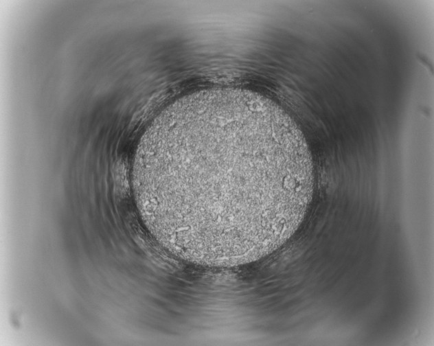 X0000101681106200807311513