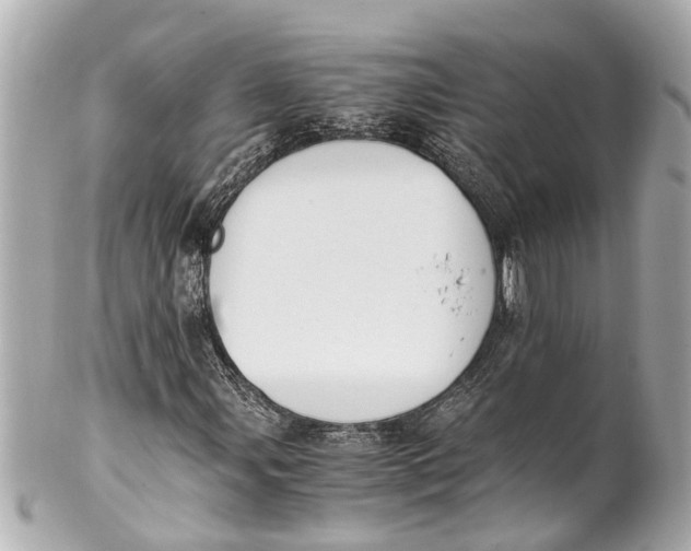 X0000101681107200807311513