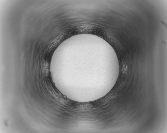 X0000101681108200807311513