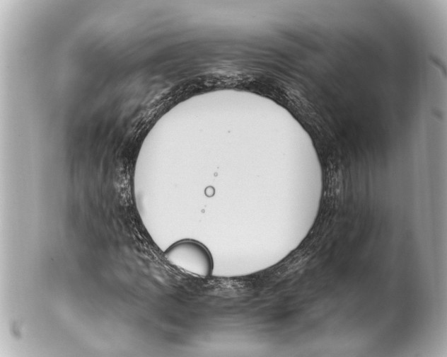 X0000101681109200807311513