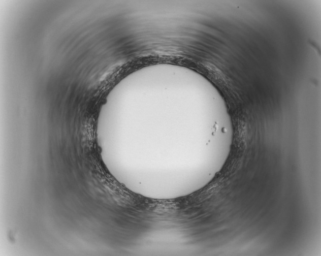 X0000101681110200807311513