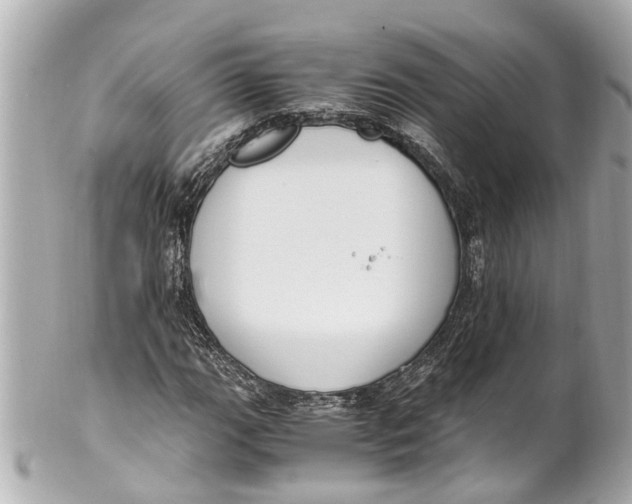 X0000101681111200807311513