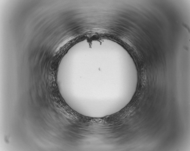 X0000101681112200807311513