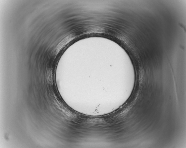 X0000101681113200807311513