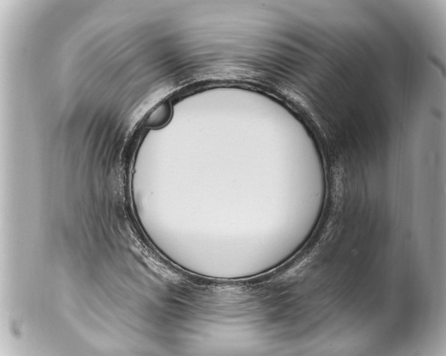 X0000101681114200807311513