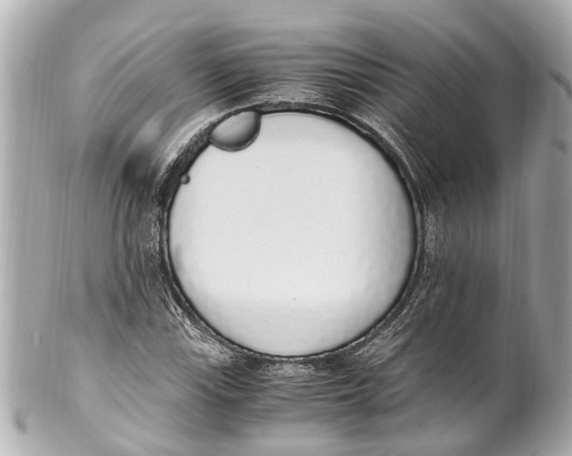 X0000101681115200807311513