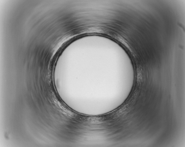 X0000101681116200807311513