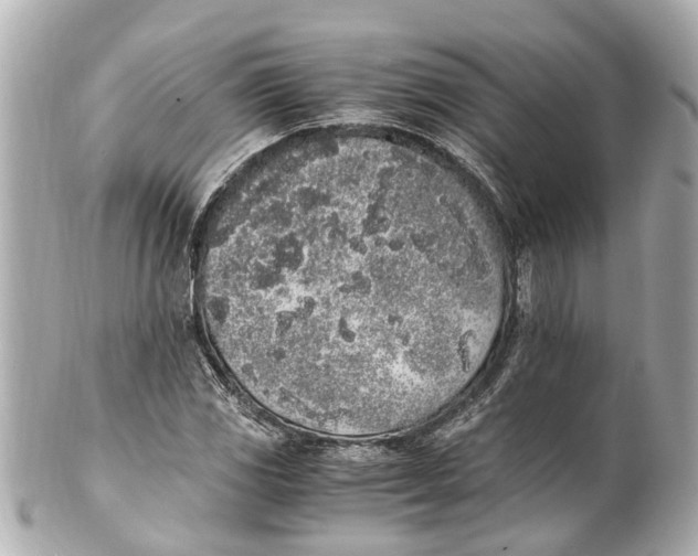 X0000101681117200807311513