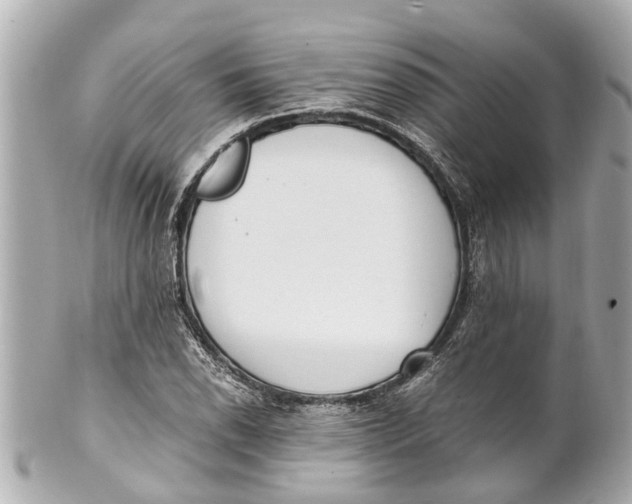 X0000101681118200807311513