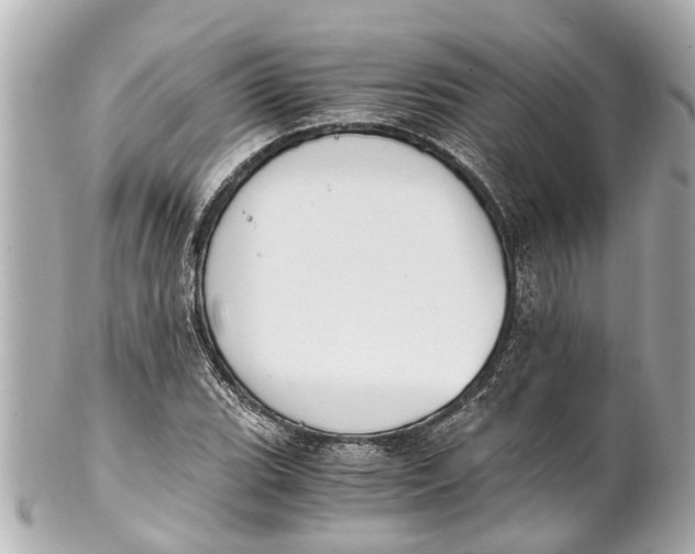 X0000101681119200807311513