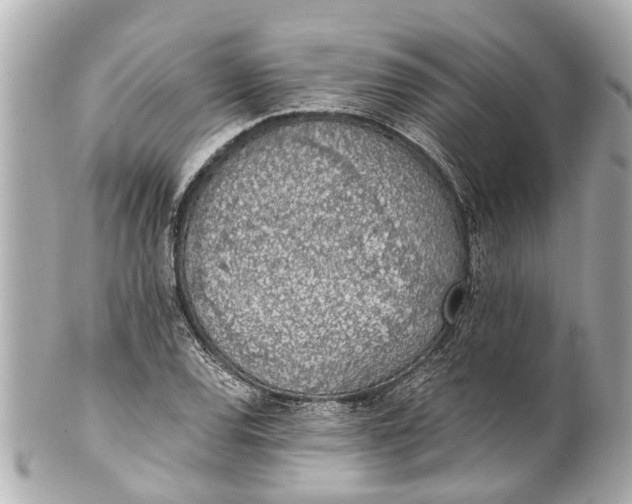 X0000101681120200807311513