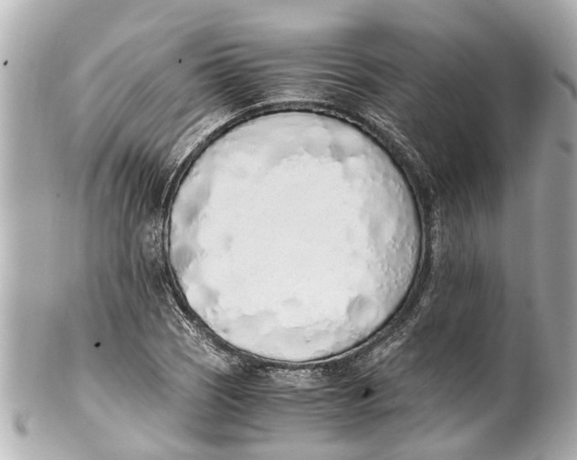 X0000101681121200807311513