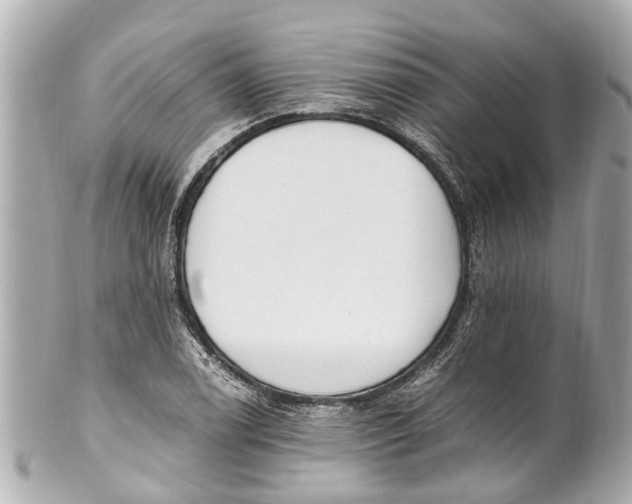 X0000101681122200807311513