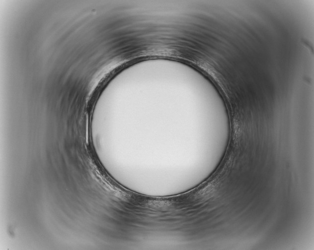 X0000101681123200807311513