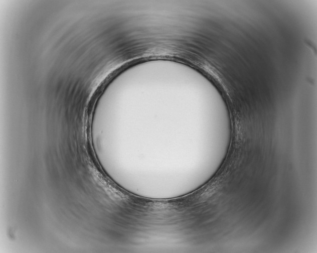 X0000101681124200807311513