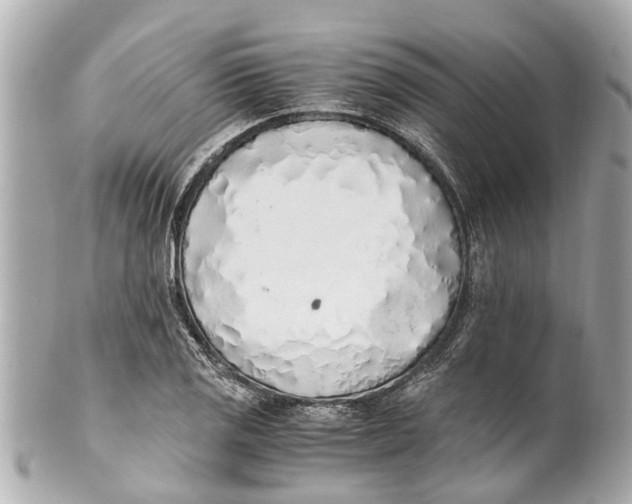 X0000101681125200807311513